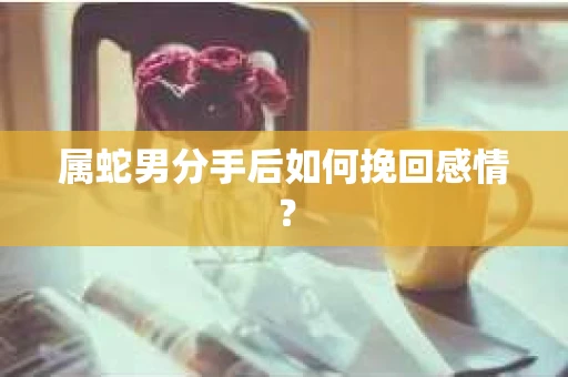 属蛇男分手后如何挽回感情？
