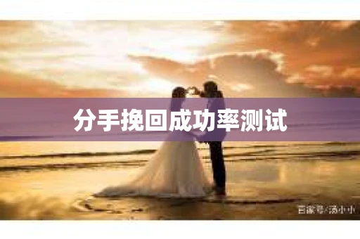 分手挽回成功率测试