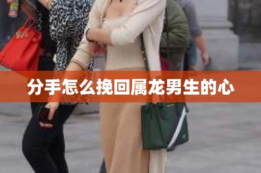 分手怎么挽回属龙男生的心