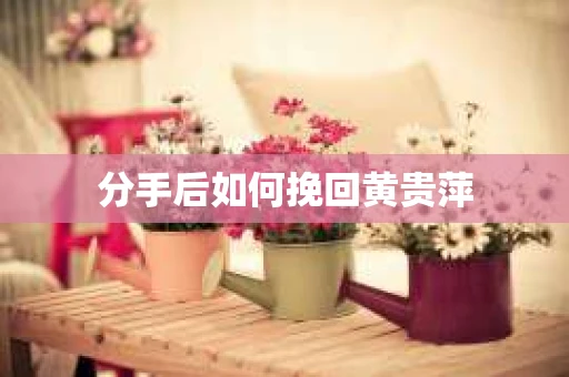 分手后如何挽回黄贵萍