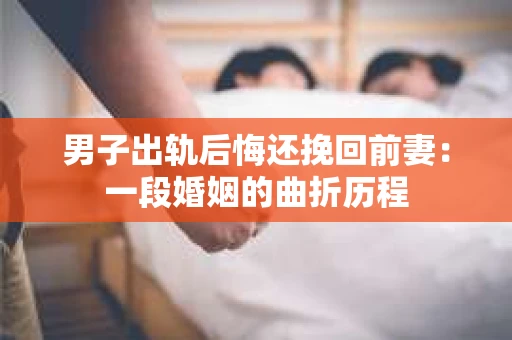 男子出轨后悔还挽回前妻：一段婚姻的曲折历程