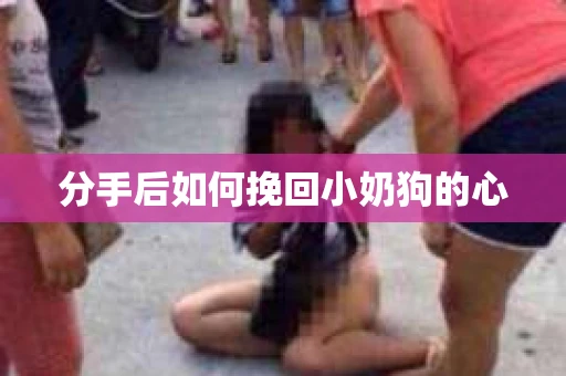分手后如何挽回小奶狗的心
