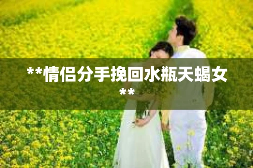 **情侣分手挽回水瓶天蝎女**