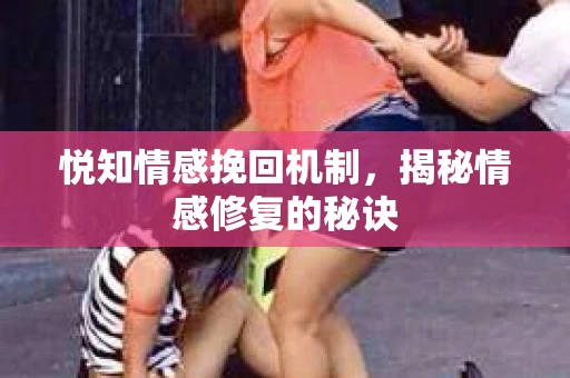 悦知情感挽回机制，揭秘情感修复的秘诀