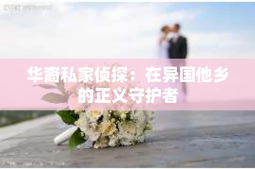 华裔私家侦探：在异国他乡的正义守护者