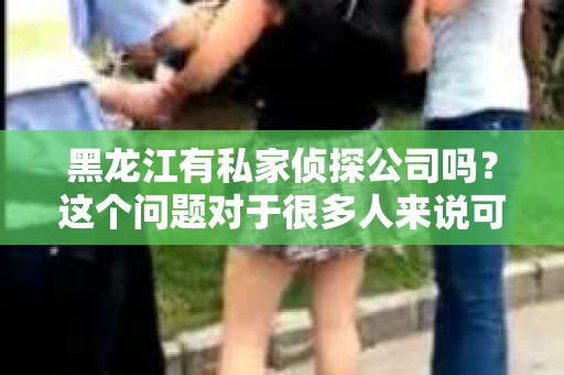 黑龙江有私家侦探公司吗？这个问题对于很多人来说可能有些敏感，但确实是一个值得关注的话题。在黑龙江，私家侦探公司是否存在，以及它们提供的服务内容，都是我们需要了解的信息。下面，我就来和大家聊聊这个话题。