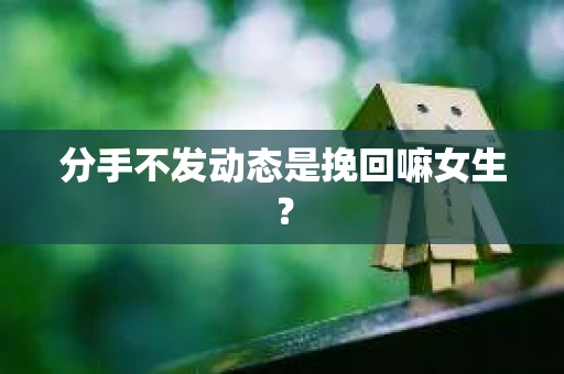 分手不发动态是挽回嘛女生？