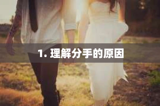 1. 理解分手的原因
