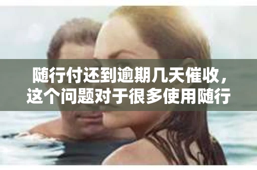 随行付还到逾期几天催收，这个问题对于很多使用随行付的用户来说，可能都曾有过疑惑。今天，我就来和大家聊聊这个话题，希望能帮助大家更好地了解随行付的催收政策。