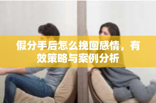 假分手后怎么挽回感情，有效策略与案例分析