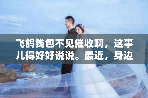 飞鸽钱包不见催收啊，这事儿得好好说说。最近，身边的朋友都在议论飞鸽钱包的催收问题，有人说催收力度不够，也有人抱怨催收方式太生硬。今天，咱们就来聊聊这个话题，看看飞鸽钱包的催收情况到底如何。