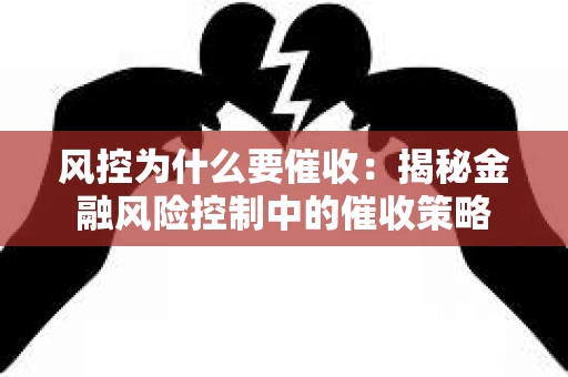 风控为什么要催收：揭秘金融风险控制中的催收策略