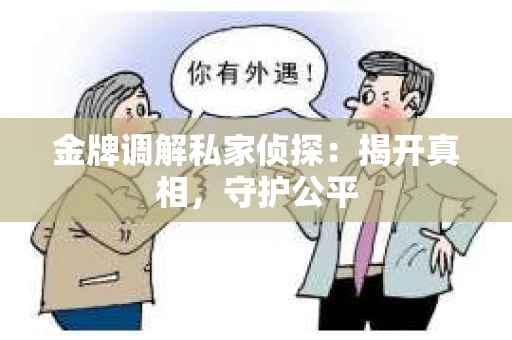 金牌调解私家侦探：揭开真相，守护公平