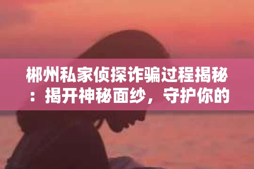 郴州私家侦探诈骗过程揭秘：揭开神秘面纱，守护你的权益