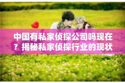 中国有私家侦探公司吗现在？揭秘私家侦探行业的现状与变迁