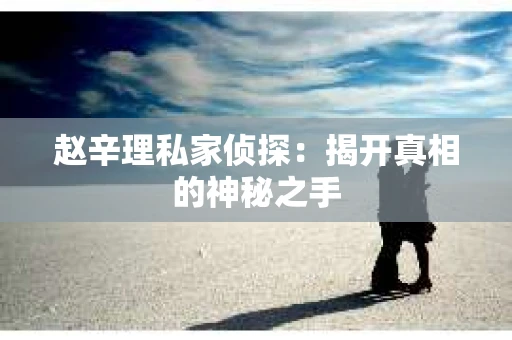 赵辛理私家侦探：揭开真相的神秘之手