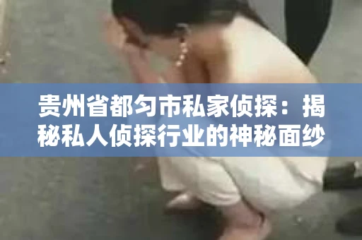 贵州省都匀市私家侦探：揭秘私人侦探行业的神秘面纱