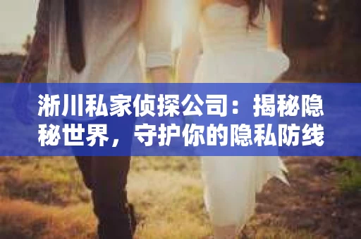淅川私家侦探公司：揭秘隐秘世界，守护你的隐私防线