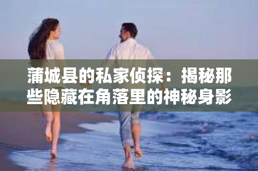 蒲城县的私家侦探：揭秘那些隐藏在角落里的神秘身影