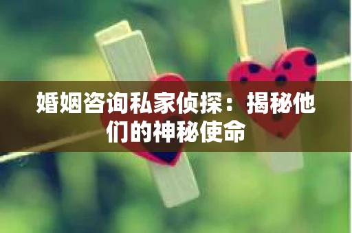 婚姻咨询私家侦探：揭秘他们的神秘使命