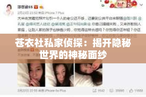 苍衣社私家侦探：揭开隐秘世界的神秘面纱