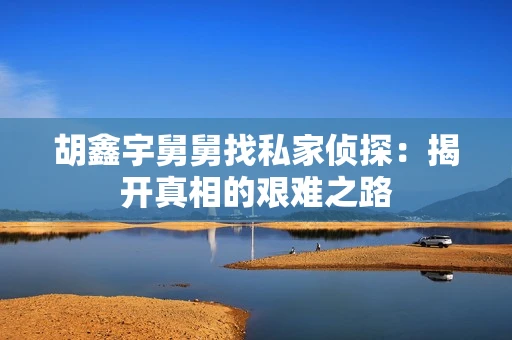胡鑫宇舅舅找私家侦探：揭开真相的艰难之路