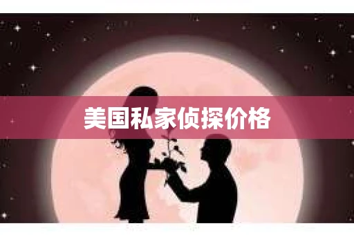 美国私家侦探价格